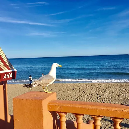 Patos * Benalmádena